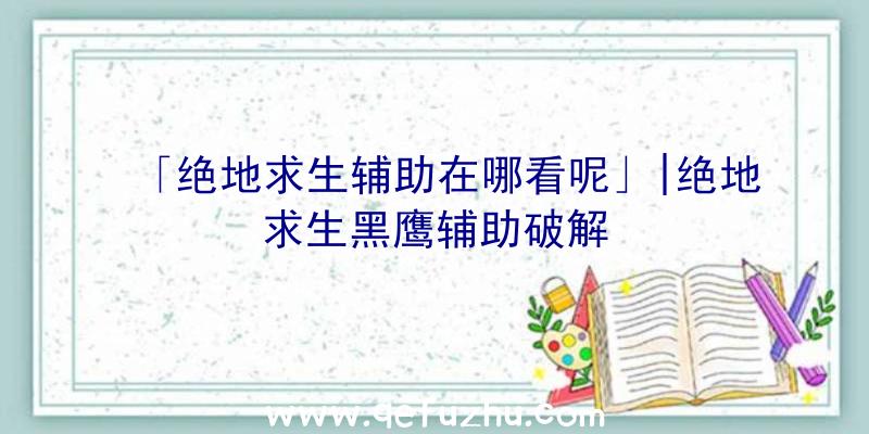 「绝地求生辅助在哪看呢」|绝地求生黑鹰辅助破解